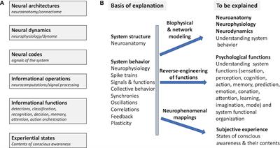 Frontiers  New insights on single-neuron selectivity in the era