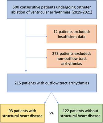 Impact of sex on clinical, procedural characteristics and outcomes of  catheter ablation for ventricular arrhythmias according to underlying heart  disease