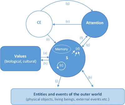 The   of the phenomenal aspect of consciousness: Its main functions and the mechanisms underpinning it