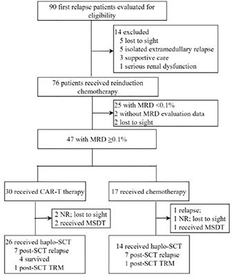 Comparisons of Long-Term Survival and Safety of Haploidentical Hematopoietic Stem Cell Transplantation After CAR-T Cell Therapy or Chemotherapy in Pediatric Patients With First Relapse of B-Cell Acute Lymphoblastic Leukemia Based on MRD-Guided Treatment
