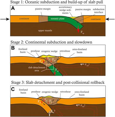 Accretionary and collisional orogenesis in the south domain of the