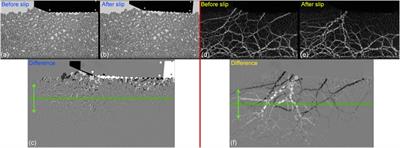 Frontiers | Stick-Slip Dynamics in a Granular Material With Varying ...