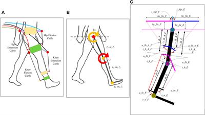 Frontiers  A Framework for Determining the Performance and Requirements of  Cable-Driven Mobile Lower Limb Rehabilitation Exoskeletons