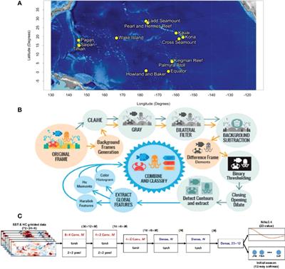 The Role of Artificial Intelligence Algorithms in Marine Scientific Research