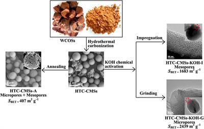 Exploration of Alternative Woody Biomass for Manufacturing Biopellets