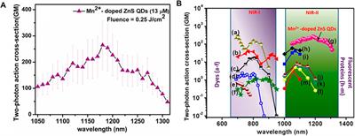 Pulse length measurement of the HGHG output using two-photon absorption