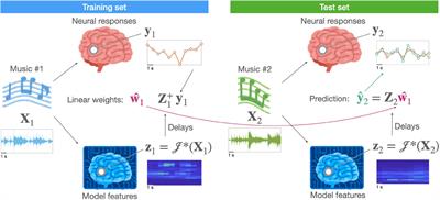 Music in the brain  Nature Reviews Neuroscience