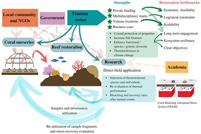 Frontiers | All-inclusive reef restoration: How the tourism sector boost restoration efforts in the caribbean