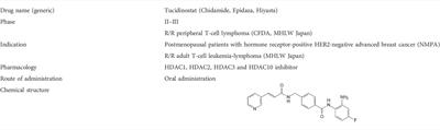 Tucidinostat + R-CHOP showcases safety & efficacy for DLBCL subtype