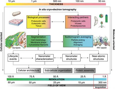 ATM] Cryo-EM: Molecular Biophysics – Introduction to Cryo-EM