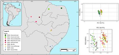 Multi-temporal ecological niche modeling for bird conservation in the face  of climate change scenarios in Caatinga, Brazil [PeerJ]