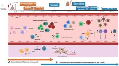 Frontiers  C500 variants conveying complete mucosal immunity