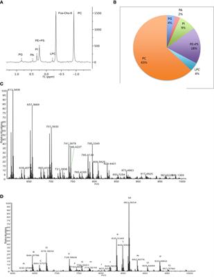 Frontiers  Fatty acid uptake in Trypanosoma brucei: Host resources and  possible mechanisms