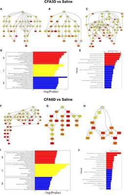 PDF) RNA-Seq analysis of Gtf2ird1 knockout epidermal tissue