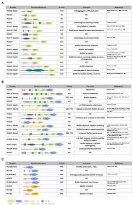 The Sims 4 Cheats, PDF, Parenting