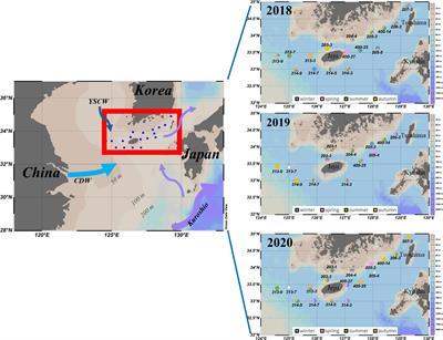 Spatial-temporal distributions of chlorophyll a content (μg/L) in