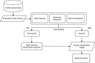 Frontiers | Deep learning techniques for cancer classification using ...