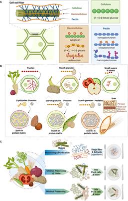 Frontiers | Intrinsic dietary fibers and the gut microbiome: Rediscovering  the benefits of the plant cell matrix for human health
