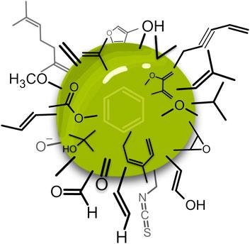 Anxiolytic Effect of Essential Oils and Their Constituents: A Review