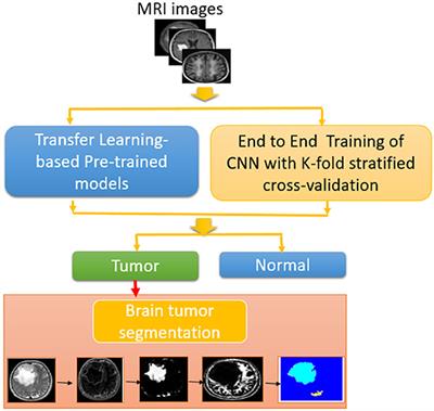 Frontiers | Efficient framework for brain tumor detection using ...