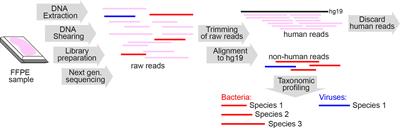 Rescuing Inhibited Samples with the ForenSeq Enhanced Buffer System, ePCR1