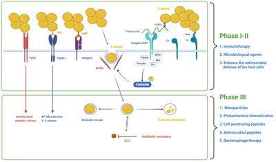 Staphylococcus epidermidis: Trends in Microbiology