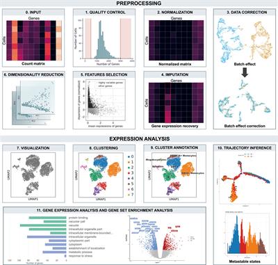 Frontiers | From multitude to singularity: An up-to-date overview of ...