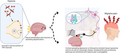 Migraine: disease characterisation, biomarkers, and precision
