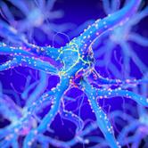 Nanomedicine Targeting Central Nervous System Nanomedicine Targeting Central Nervous System