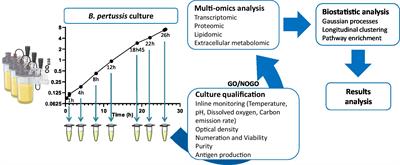 Frontiers  Deinococcus radiodurans UWO298 Dependence on