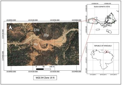 Frontiers  Wood density is related to aboveground biomass and productivity  along a successional gradient in upper Andean tropical forests