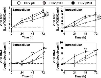 Frontiers  Deinococcus radiodurans UWO298 Dependence on