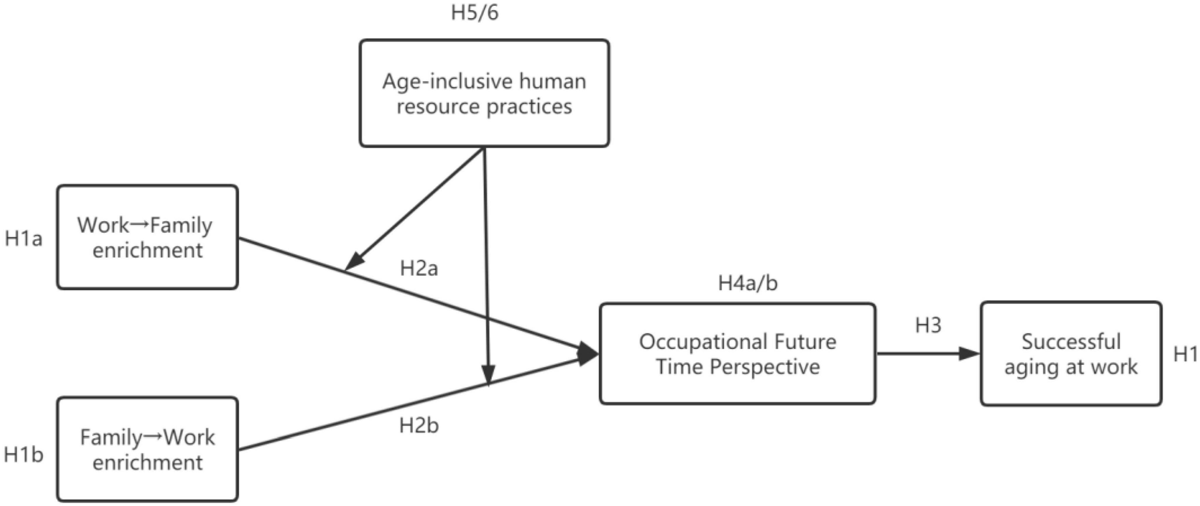 Frontiers | Work-family enrichment and successful aging at work 
