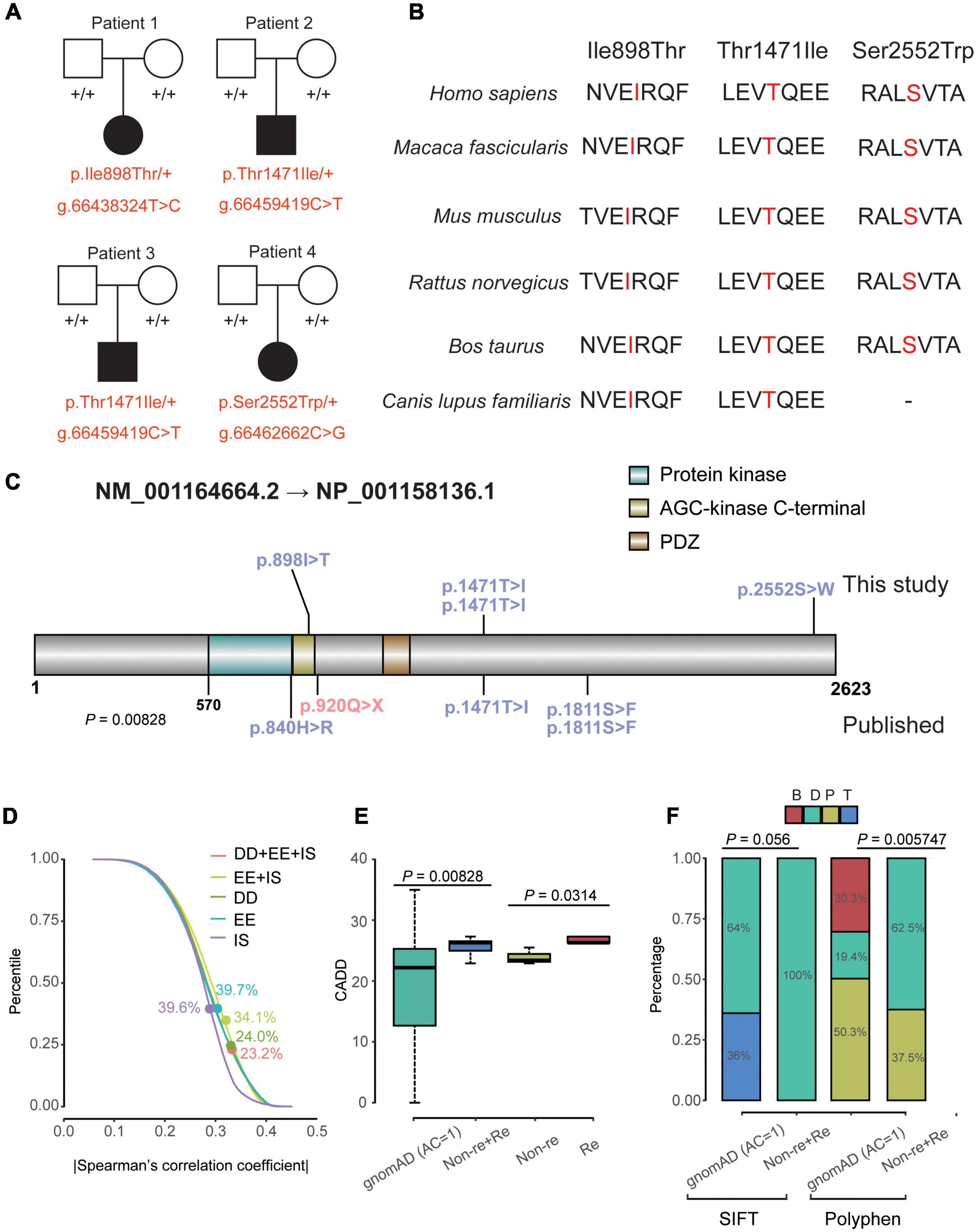 Frontiers in Molecular Neuroscience | Articles