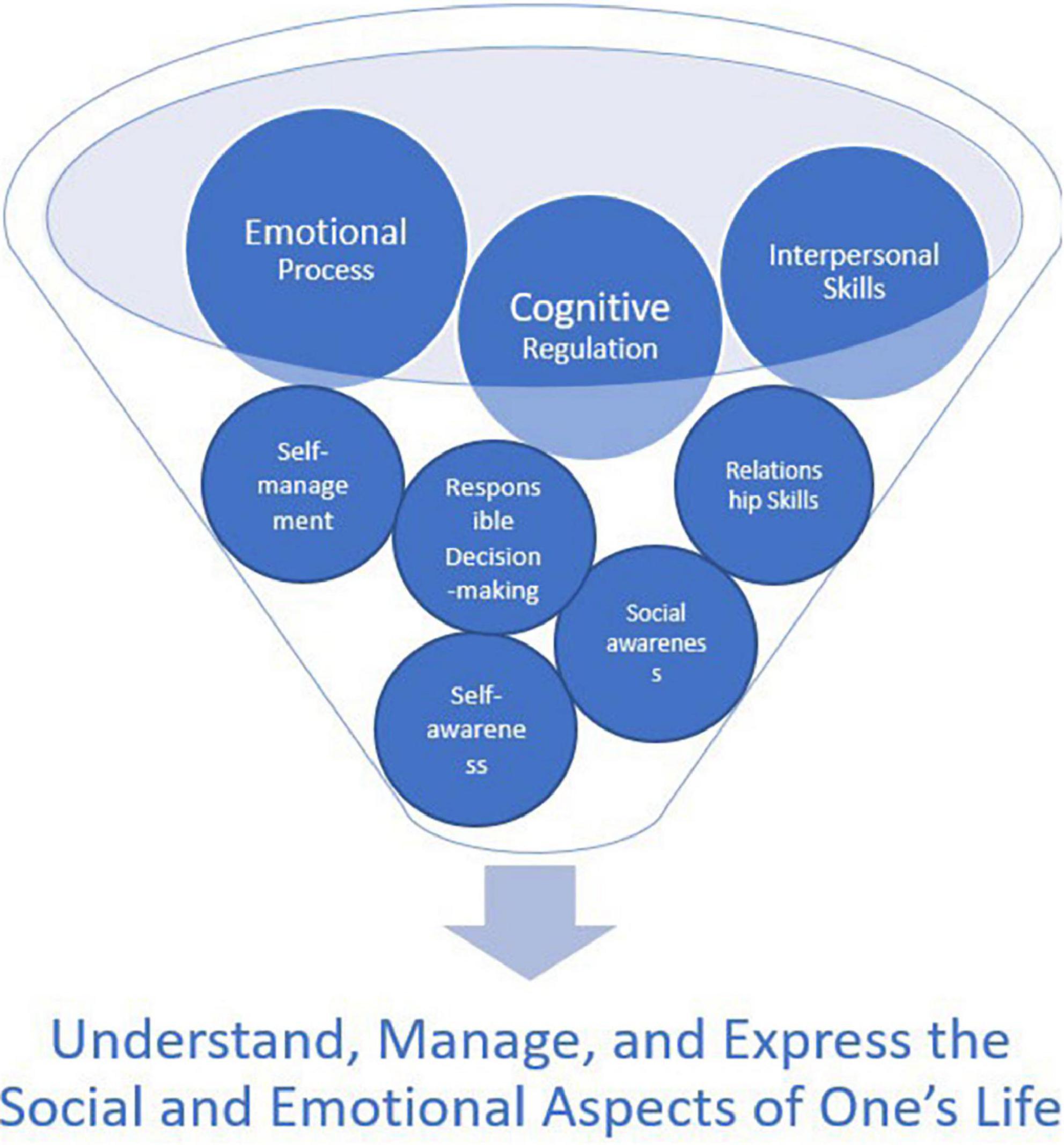 Frontiers | Social emotional learning matters: Interpreting 