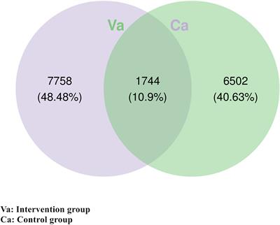 Frontiers  Interactions between microbiota and cervical