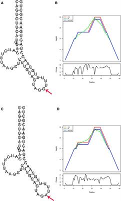 Frontiers  Pharmacogenetics of pediatric acute lymphoblastic leukemia in  Uruguay: adverse events related to induction phase drugs