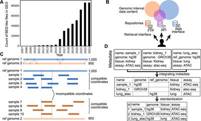 Frontiers  Ethical layering in AI-driven polygenic risk scores—New  complexities, new challenges