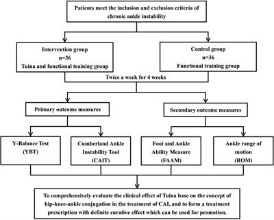 Frontiers  A single-set functional training program increases muscle  power, improves functional fitness, and reduces pro-inflammatory cytokines  in postmenopausal women: A randomized clinical trial