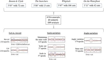 Frontiers  Intrafamilial variability in SLC6A1-related neurodevelopmental  disorders