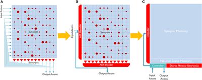 Frontiers  Spiking CMOS-NVM mixed-signal neuromorphic ConvNet with  circuit- and training-optimized temporal subsampling