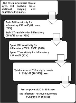 Main clinical findings of the 16 Brazilian patients with