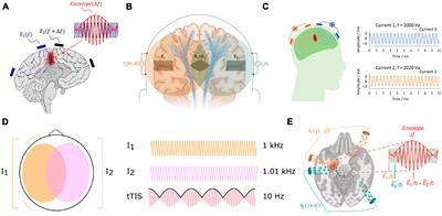 Frontiers When and Why Did Human Brains Decrease in Size? A New Change-Point Analysis and Insights From Brain Evolution in Ants