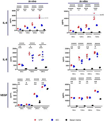 Frontiers  Identification and Functional Assessment of the First Placental  Adhesin of Treponema pallidum That May Play Critical Role in Congenital  Syphilis