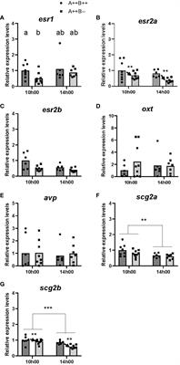 Frontiers  Effects of Flooding and Endogenous Hormone on the Formation of  Knee Roots in Taxodium ascendens