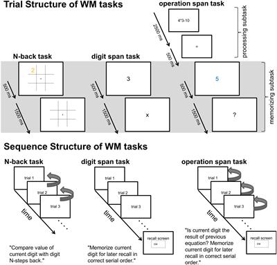 Complex Span Task List Of Frontiers Open Access Articles