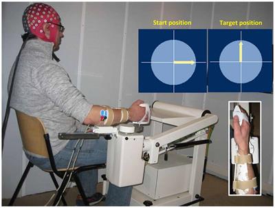 Neuromuscular Control List Of Frontiers Open Access Articles