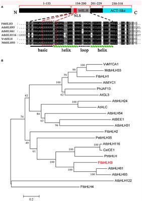 Frontiers  Identification of WRKY gene family members in amaranth based on  a transcriptome database and functional analysis of AtrWRKY42-2 in betalain  metabolism