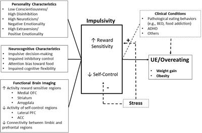 Personality And Neurocognitive Characteristics List Of Frontiers Open Access Articles
