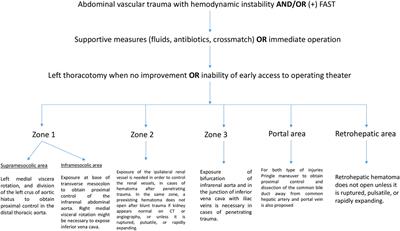 vascular trauma - List of Frontiers' open access articles